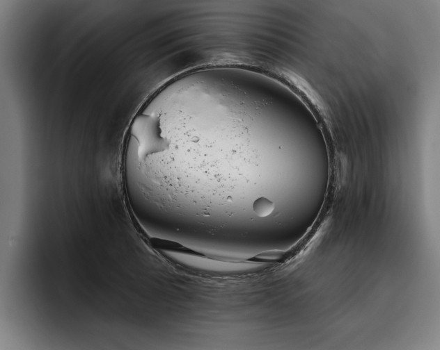 X0000093501089200710121509