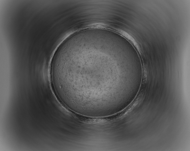 X0000093501090200710121509