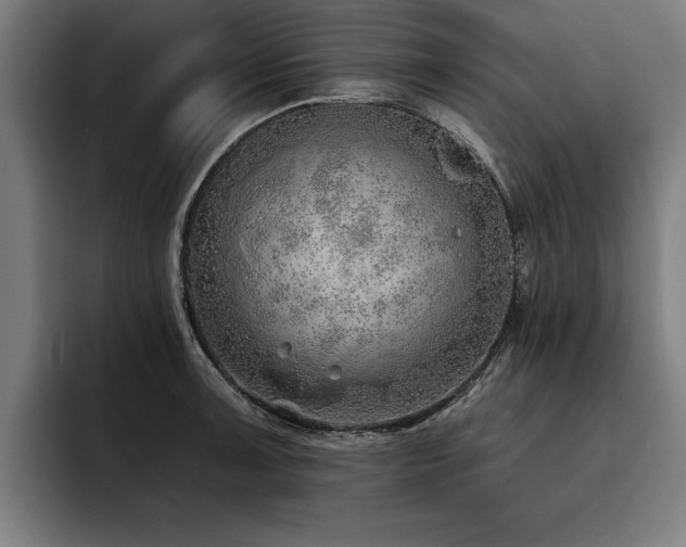 X0000093501091200710121509