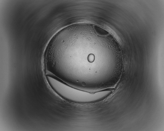 X0000093501092200710121509