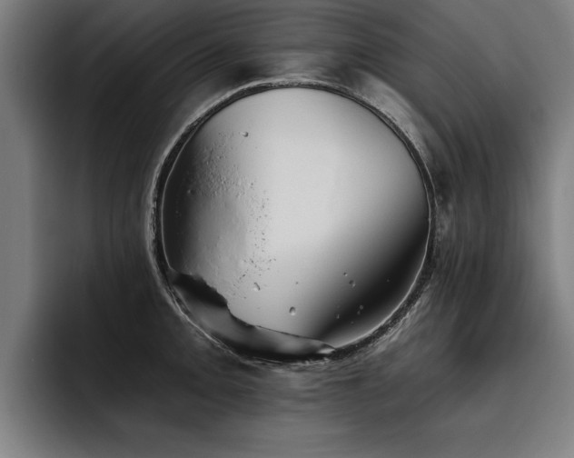 X0000093501093200710121509