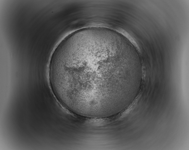 X0000093501094200710121509