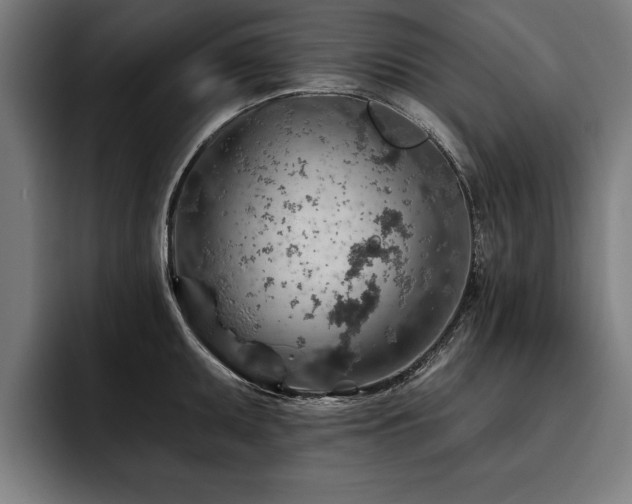 X0000093501095200710121509