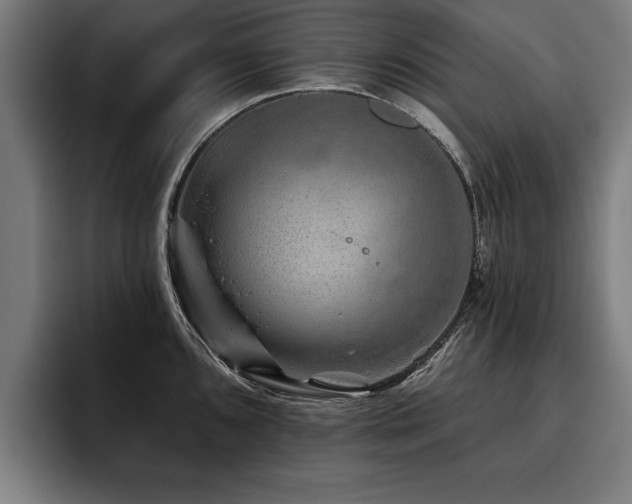 X0000093501096200710121509