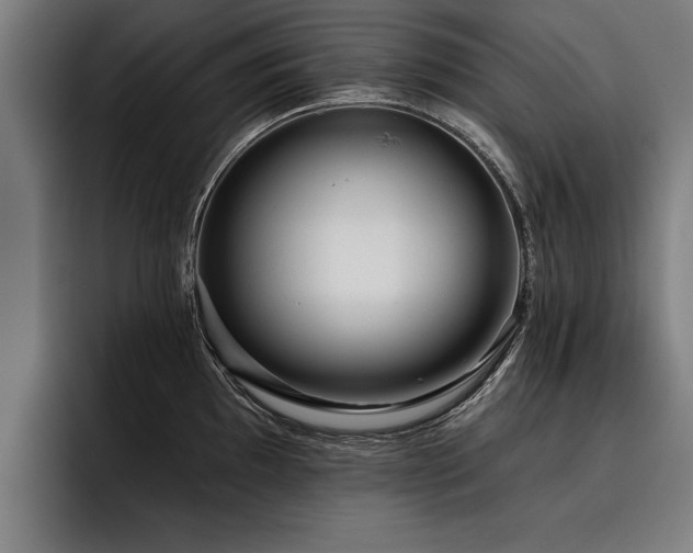 X0000093501097200710121509