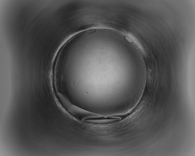 X0000093501100200710121509