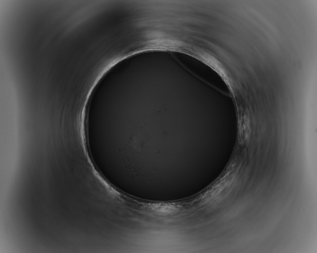 X0000093501103200710121509