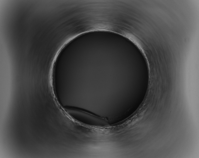 X0000093501104200710121509