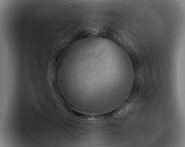 X0000093501105200710121508