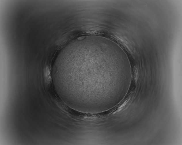 X0000093501106200710121508