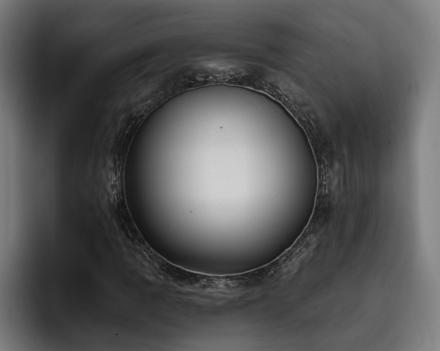 X0000093501109200710121508