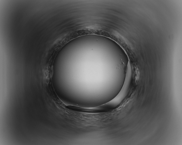 X0000093501110200710121508