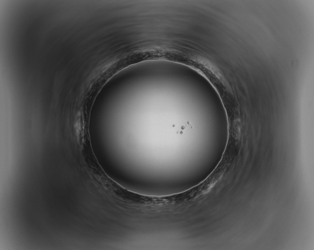 X0000093501111200710121508