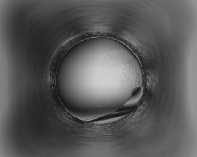 X0000093501112200710121508