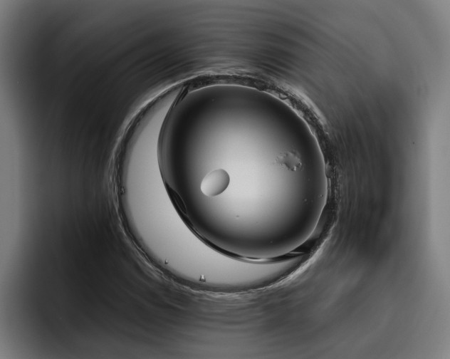 X0000093501114200710121508