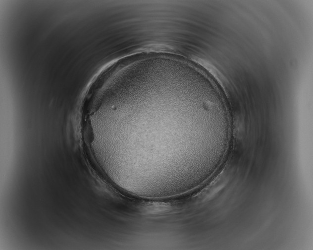 X0000093501115200710121508