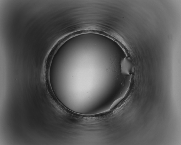 X0000093501116200710121508