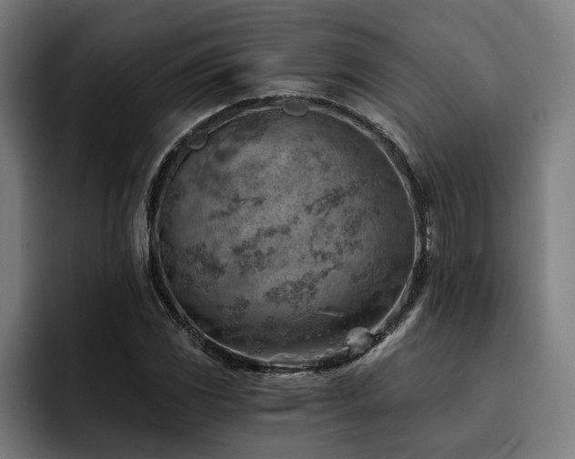 X0000093501117200710121508