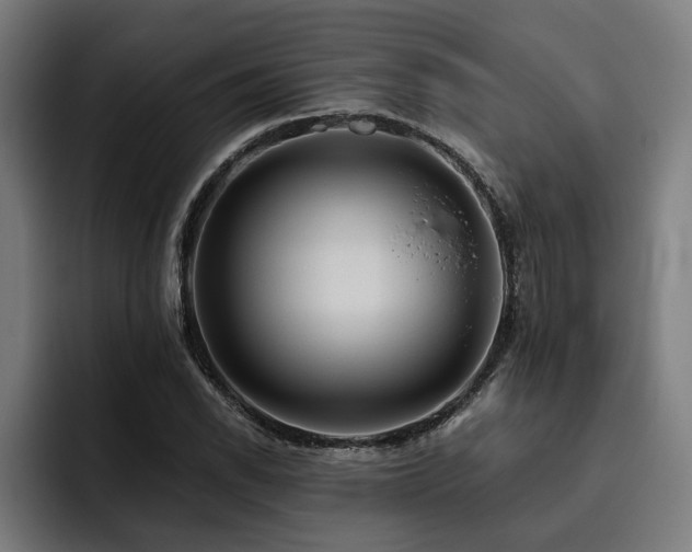 X0000093501118200710121508
