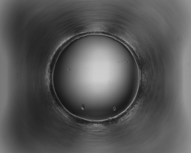 X0000093501119200710121508