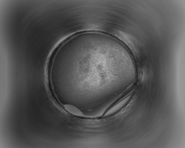 X0000093501120200710121508
