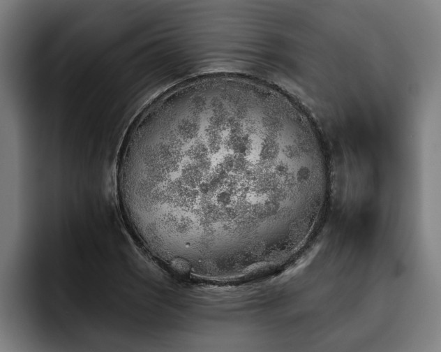 X0000093501121200710121508