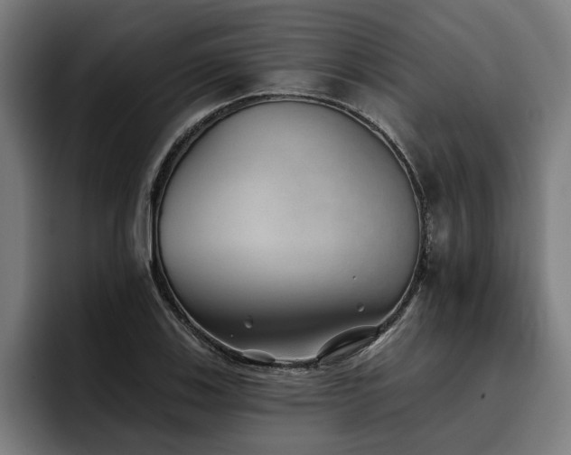 X0000093501123200710121508