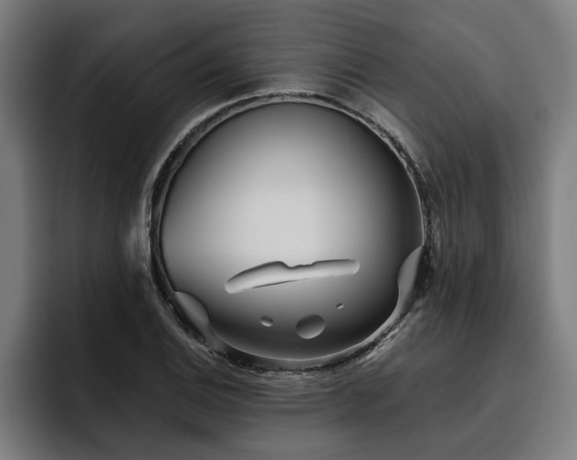 X0000093501124200710121508