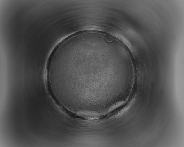 X0000093501125200710121508