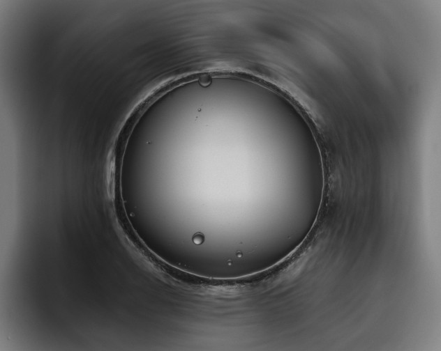 X0000093501126200710121508