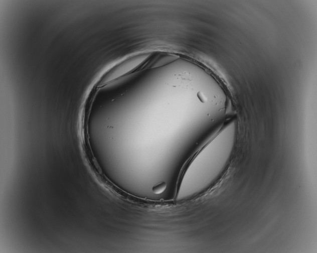 X0000093501128200710121508
