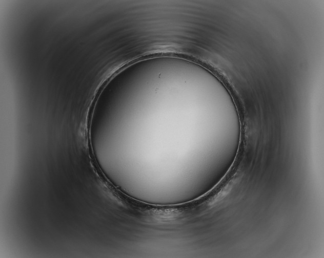 X0000093501129200710121508