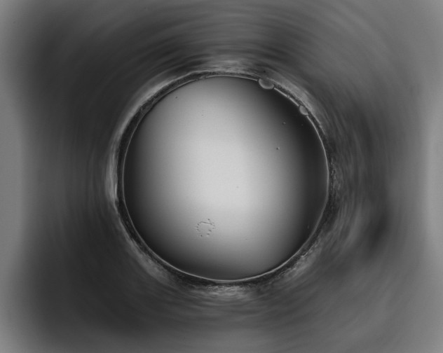 X0000093501131200710121508