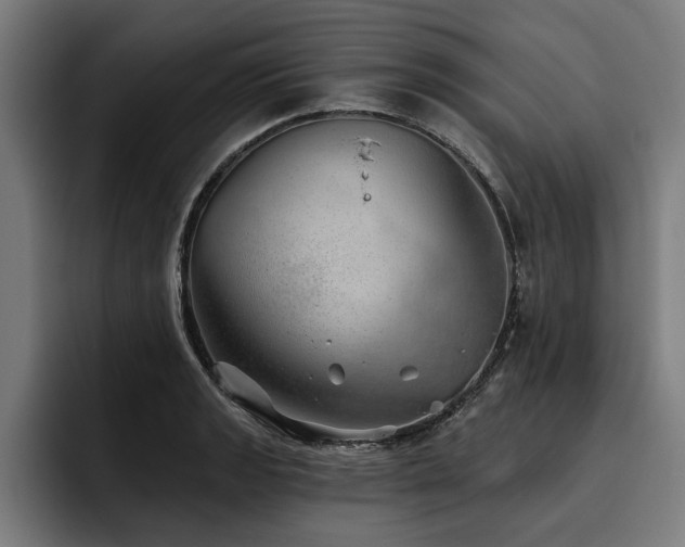 X0000093501133200710121508