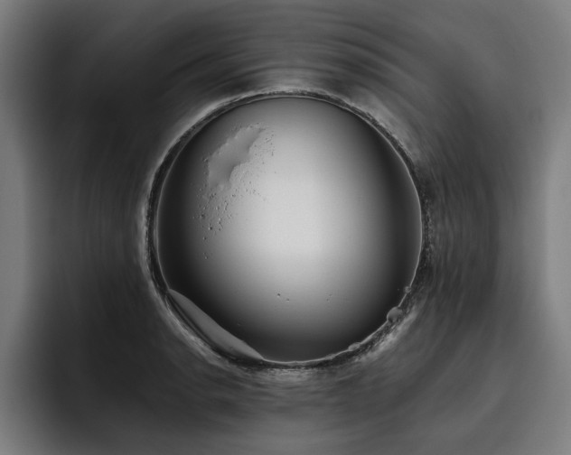 X0000093501134200710121508