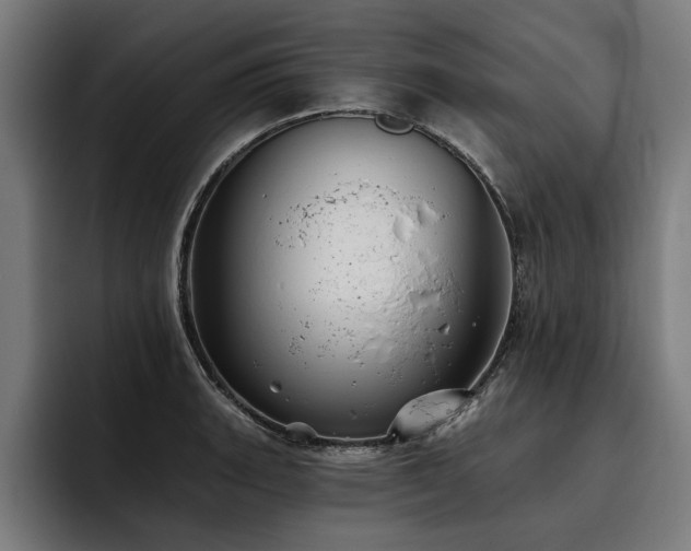 X0000093501135200710121508