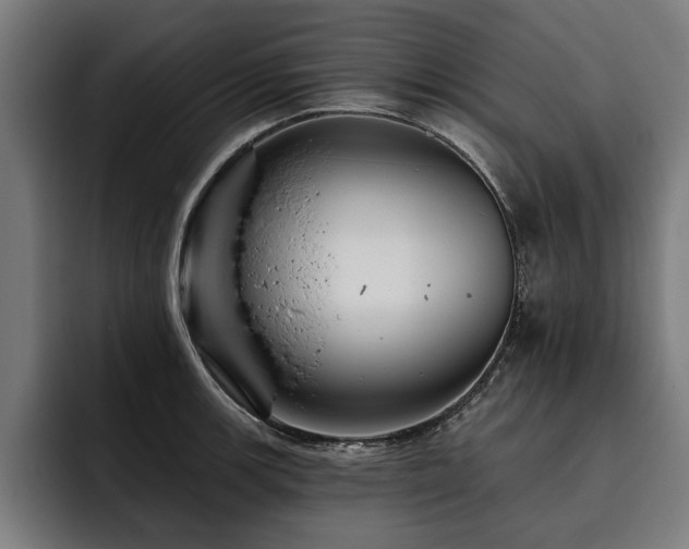 X0000093501139200710121508