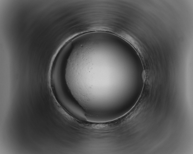 X0000093501140200710121508