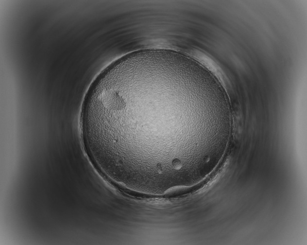 X0000093501141200710121508