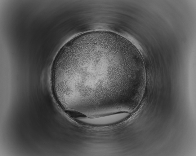 X0000093501142200710121508