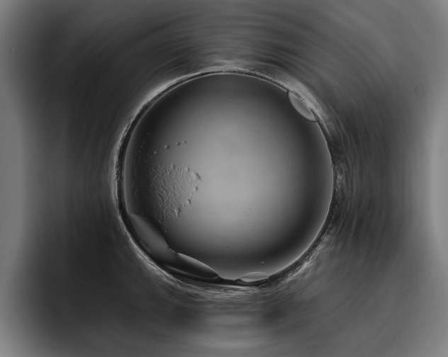 X0000093501143200710121508