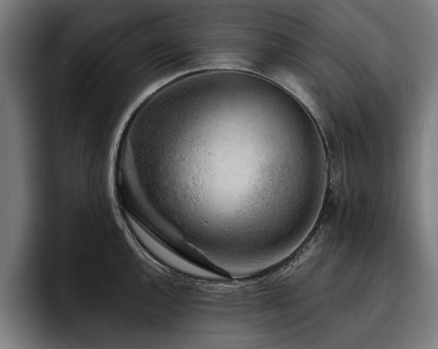 X0000093501144200710121508