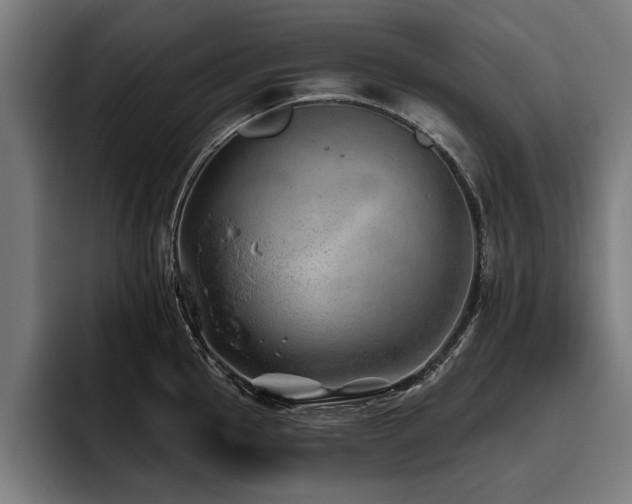 X0000093501145200710121508