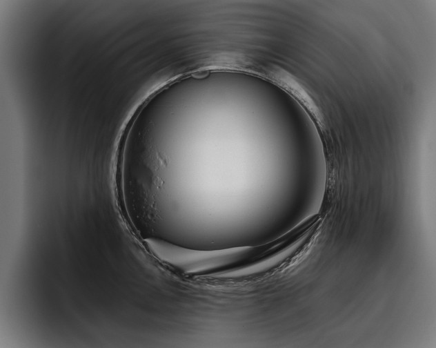 X0000093501146200710121508