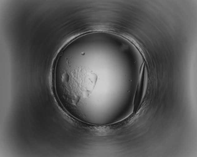 X0000093501147200710121508
