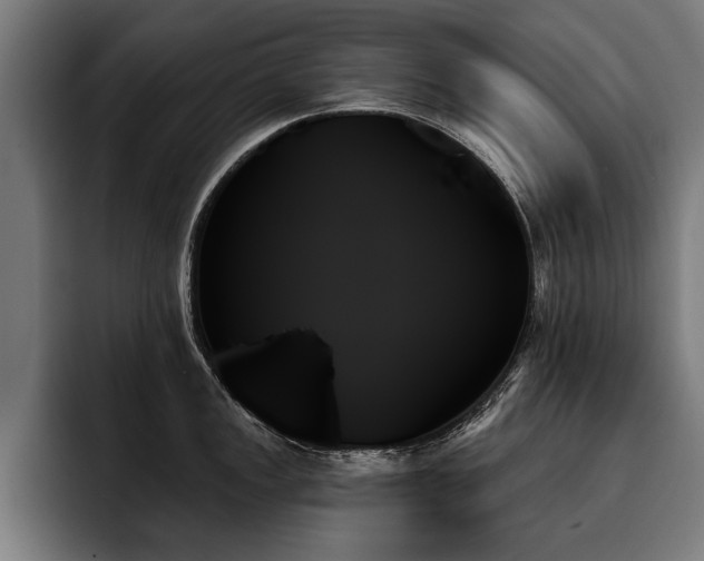 X0000093501149200710121509