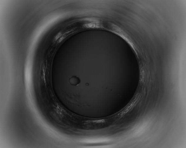 X0000093501151200710121509