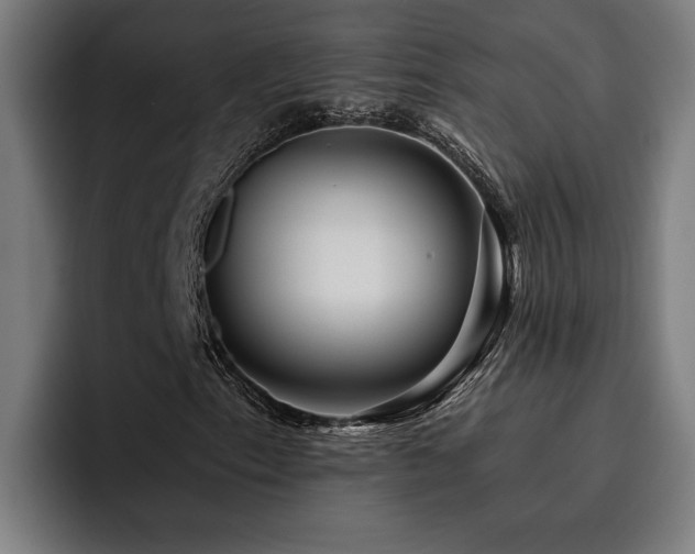 X0000093501153200710121508