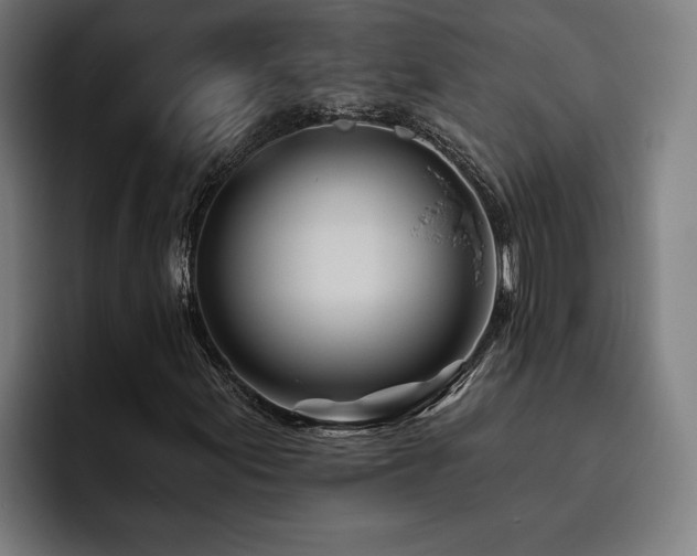X0000093501155200710121508