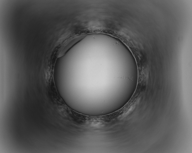 X0000093501157200710121508